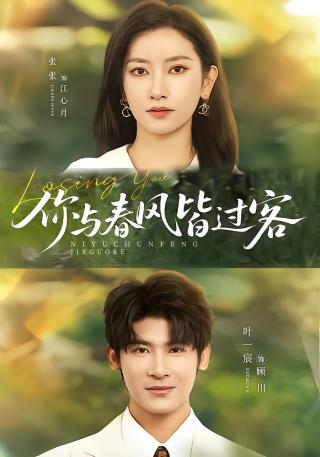 短剧你与春风皆过客海报