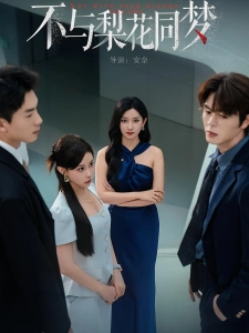 短剧不与梨花同梦海报