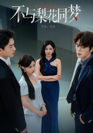 短剧不与梨花同梦海报