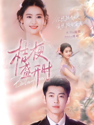 短剧桔梗盛开时海报