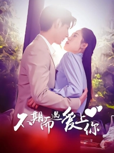 短剧不期而遇爱上你海报