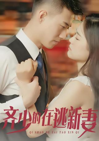 短剧齐少的在逃新妻海报