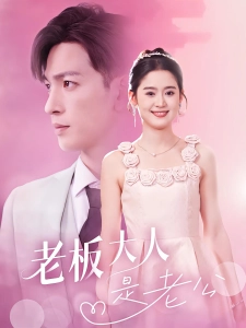 短剧老板大人是老公海报