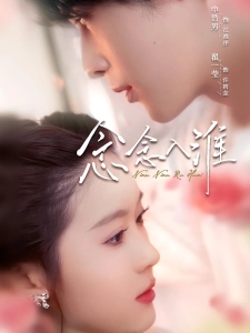 短剧念念入淮海报