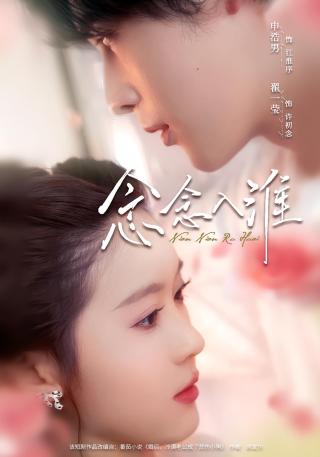 短剧念念入淮海报