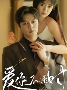 短剧爱你不逢时海报