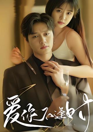 短剧爱你不逢时海报