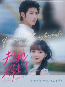 短剧夫人她又算卦了海报