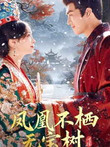 短剧凤凰不栖无宝树海报