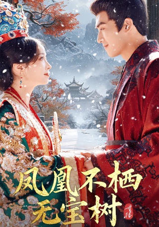 短剧凤凰不栖无宝树海报