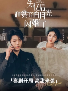 短剧失忆后和贫穷白月光闪婚了海报