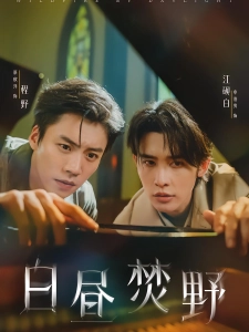 短剧白昼焚野海报