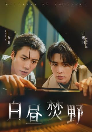 短剧白昼焚野海报