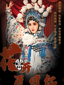 短剧花开百日红海报