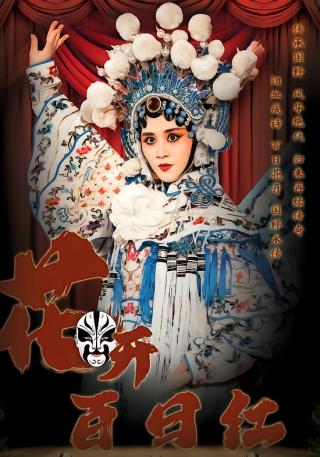 短剧花开百日红海报