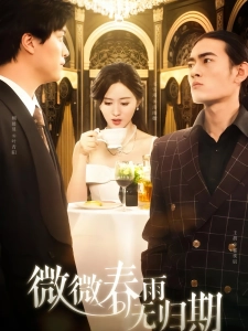 短剧微微春雨无归期海报