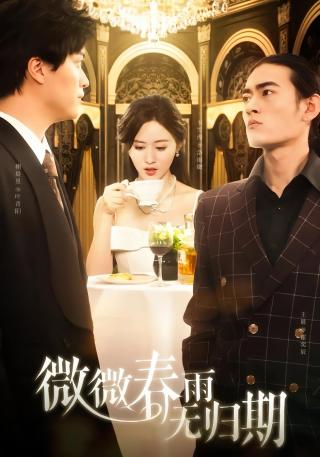 短剧微微春雨无归期海报