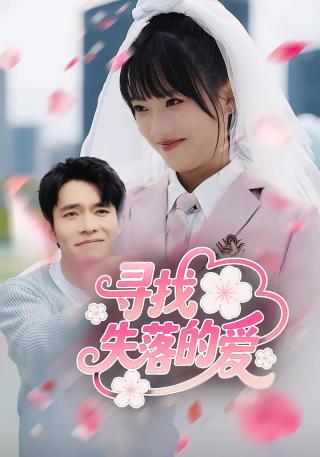 短剧寻找失落的爱海报