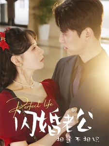 短剧闪婚老公相逢不相识海报