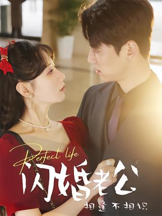 短剧闪婚老公相逢不相识海报