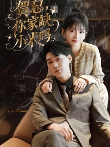 短剧贺总，你家缺小米吗海报