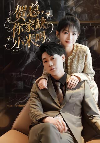 短剧贺总，你家缺小米吗海报