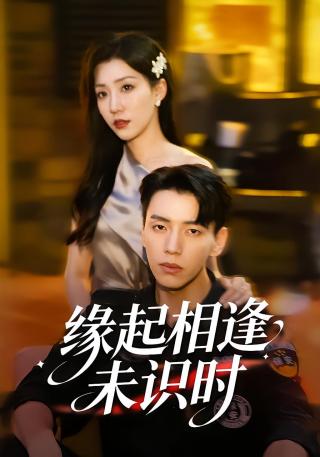 短剧缘起相逢未识时海报