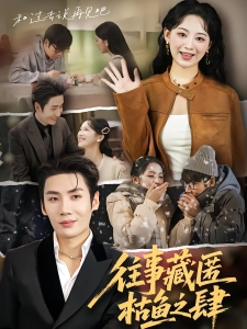 短剧往事藏匿枯鱼之肆海报