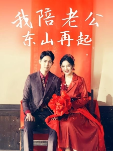 短剧我陪老公东山再起海报