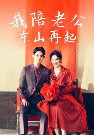 短剧我陪老公东山再起海报