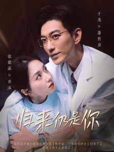 短剧归来仍是你海报