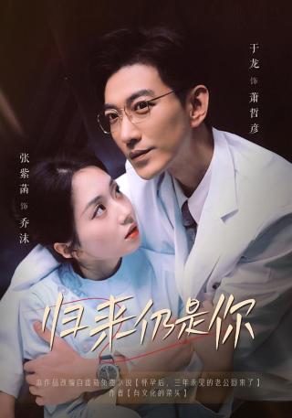 短剧归来仍是你海报