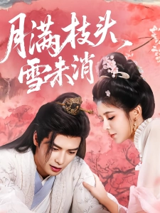 短剧月满枝头雪未消海报
