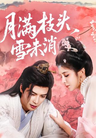 短剧月满枝头雪未消海报