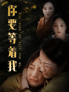 短剧你要等着我海报