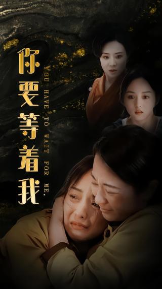 短剧你要等着我海报