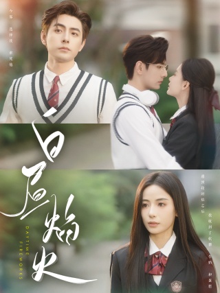 短剧白昼焰火海报