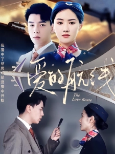 短剧爱的航线海报