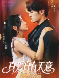 短剧真爱自有天意海报