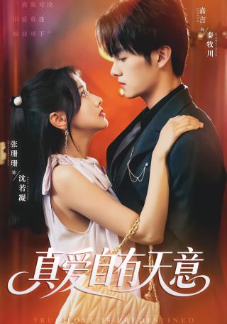 短剧真爱自有天意海报