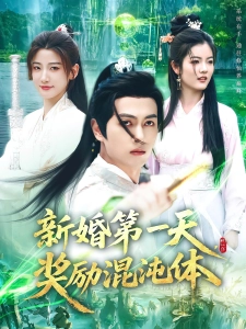 短剧新婚第一天，奖励混沌体海报