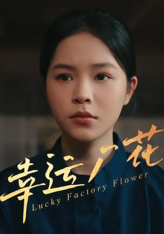 短剧幸运厂花海报