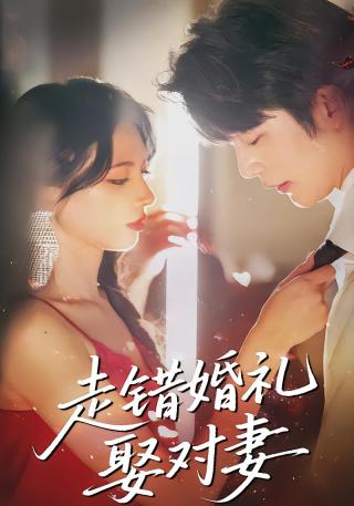 短剧走错婚礼娶对妻海报