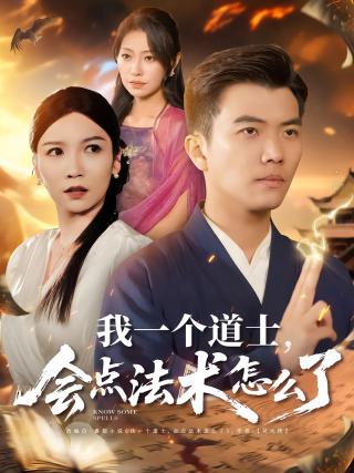 短剧我一个道士，会点法术怎么了海报