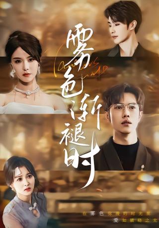 短剧雾色渐褪时海报