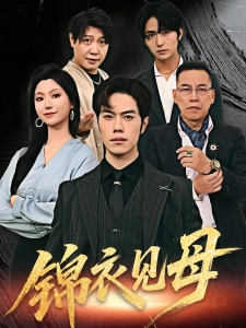 短剧锦衣见母海报