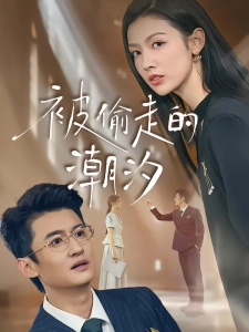 短剧被偷走的潮汐海报