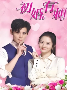 短剧初婚有刺海报