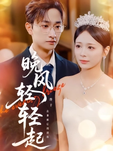 短剧晚风轻轻起海报