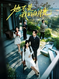 短剧她不是我的白月光海报
